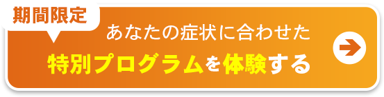 特別プログラムを体験する